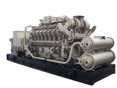 Groupe électrogène au gaz de charbon 1000 kW
