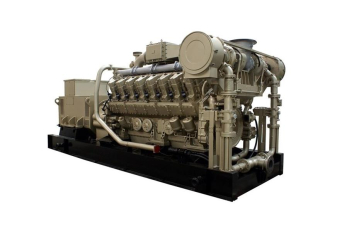 1600kW Biogas Generator Set