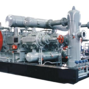 High Pressure Gas Compressor